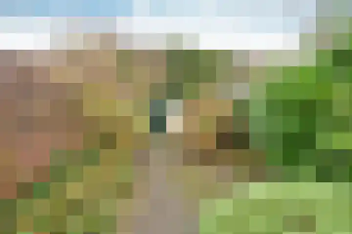 Dahliastraat 30 Hilversum thumbnail 20