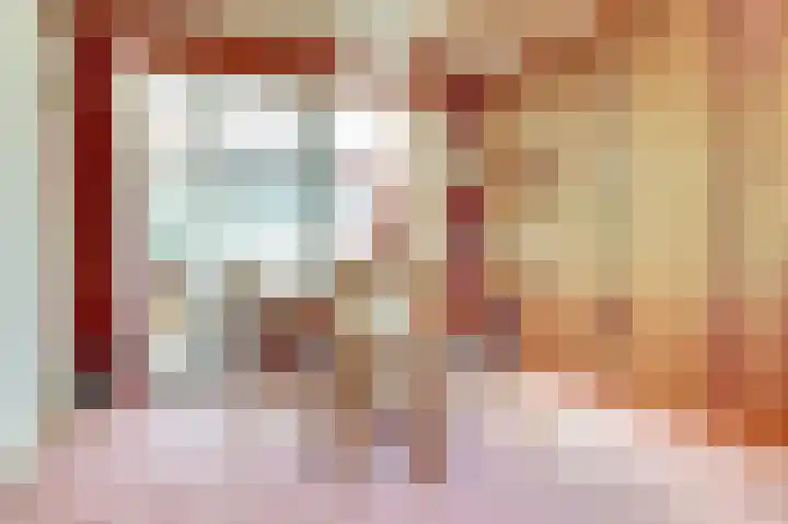 Dahliastraat 30 Hoogkarspel thumbnail 10