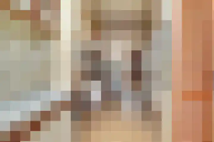 Dahliastraat 30 Hoogkarspel thumbnail 16