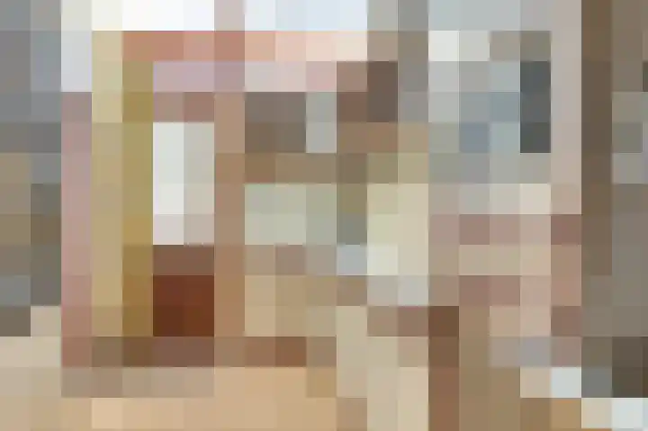 Dahliastraat 30 Hoogkarspel thumbnail 19