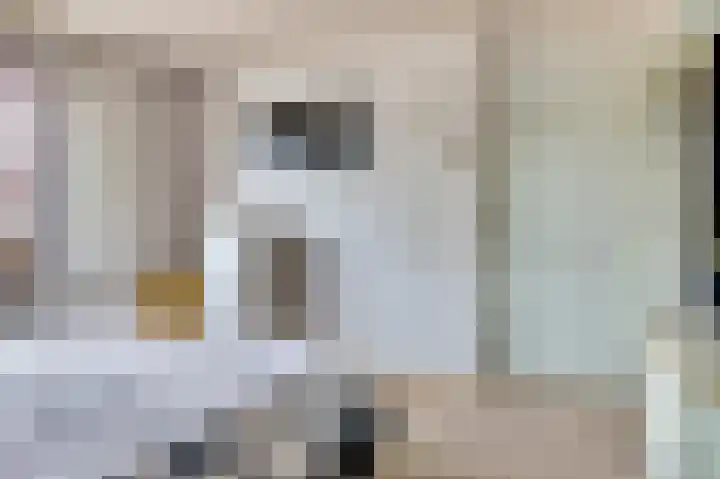 Dahliastraat 30 Hoogkarspel thumbnail 20