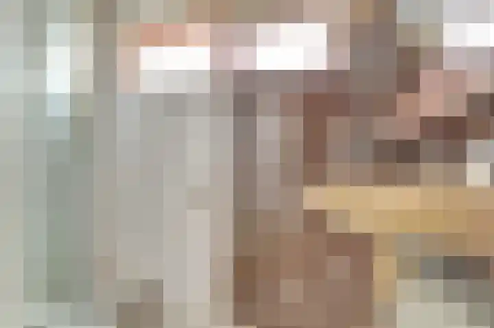 Dahliastraat 30 Hoogkarspel thumbnail 25