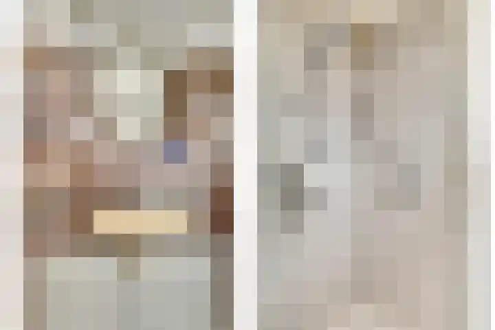 Dahliastraat 30 Hoogkarspel thumbnail 26