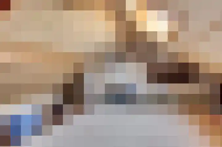Dahliastraat 30 Hoogkarspel thumbnail 31
