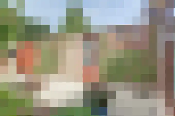 Dahliastraat 30 Hoogkarspel thumbnail 32