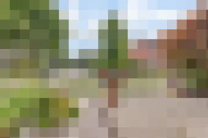 Dahliastraat 30 Hoogkarspel thumbnail 34