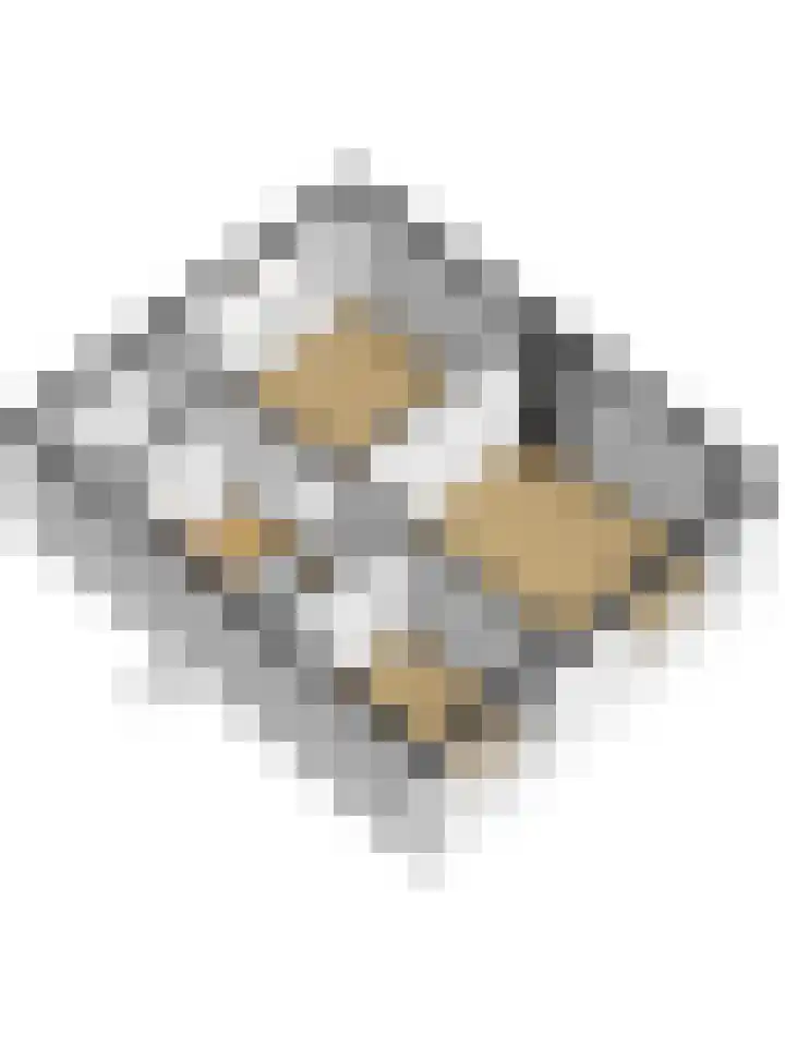 Dahliastraat 30 Hoogkarspel thumbnail 41