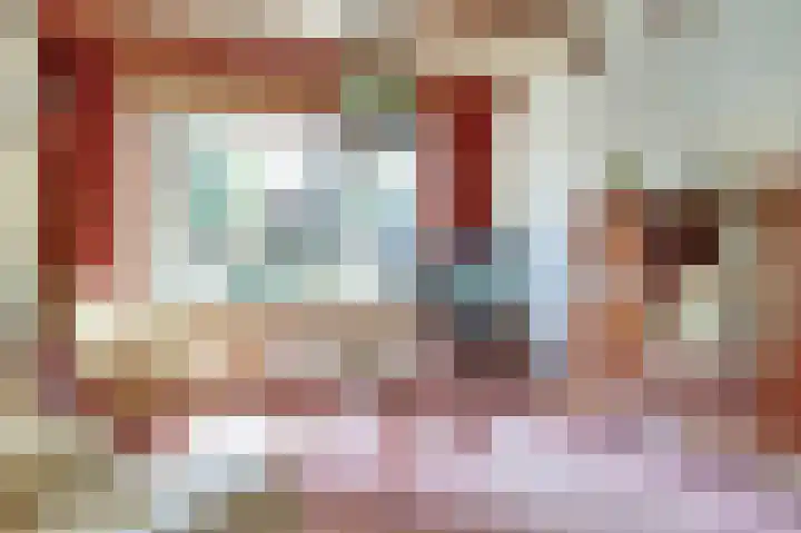Dahliastraat 30 Hoogkarspel thumbnail 8