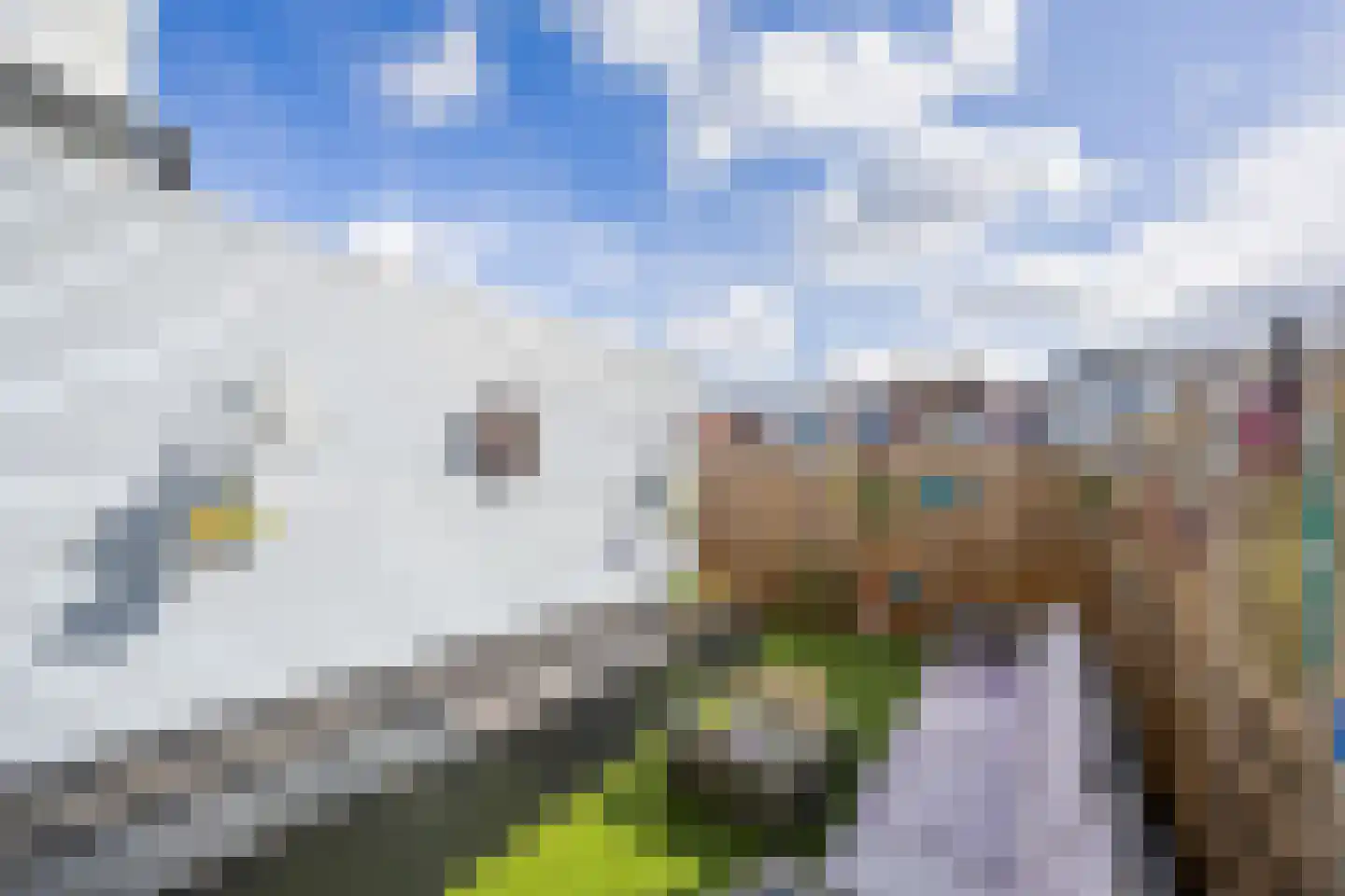 Dahliastraat 30 Rijswijk thumbnail 15