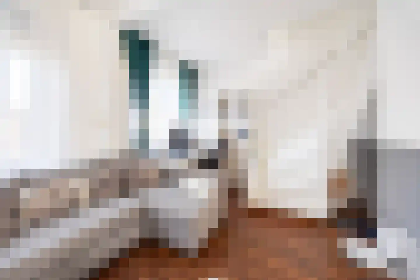 Dahliastraat 30 Rijswijk thumbnail 16