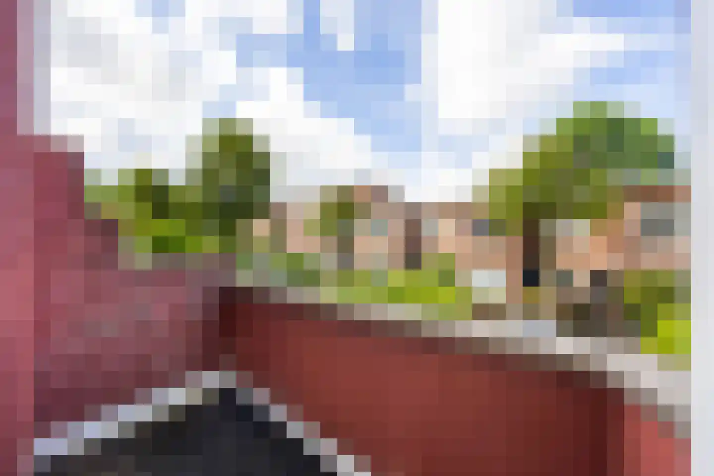 Dahliastraat 30 Rijswijk thumbnail 17