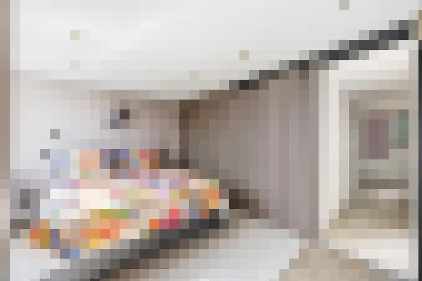 Dahliastraat 30 Rijswijk thumbnail 21
