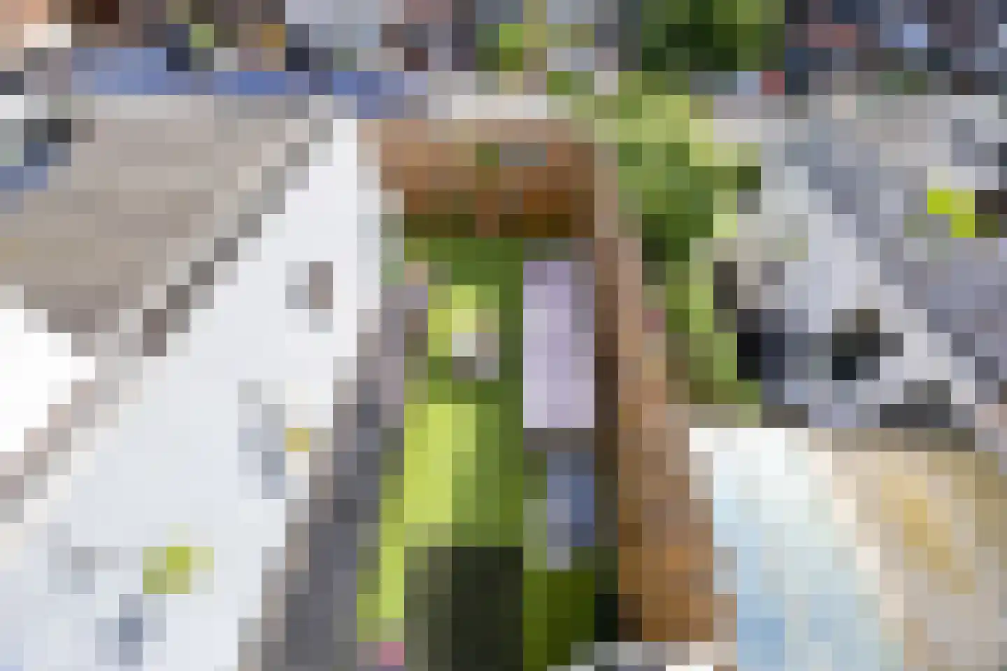 Dahliastraat 30 Rijswijk thumbnail 27