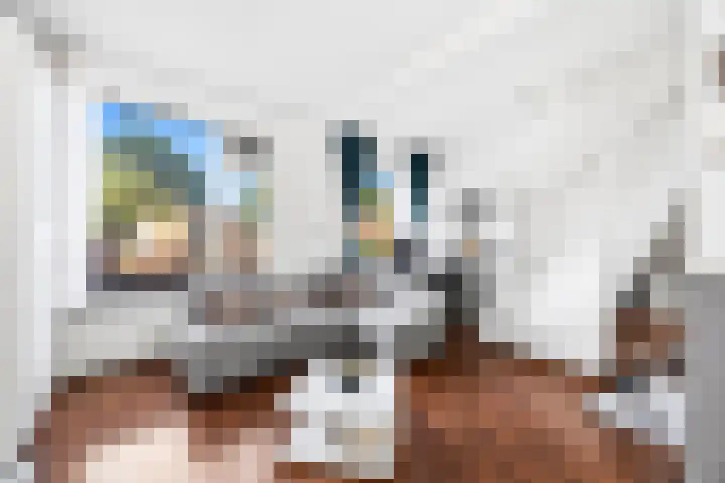 Dahliastraat 30 Rijswijk thumbnail 6