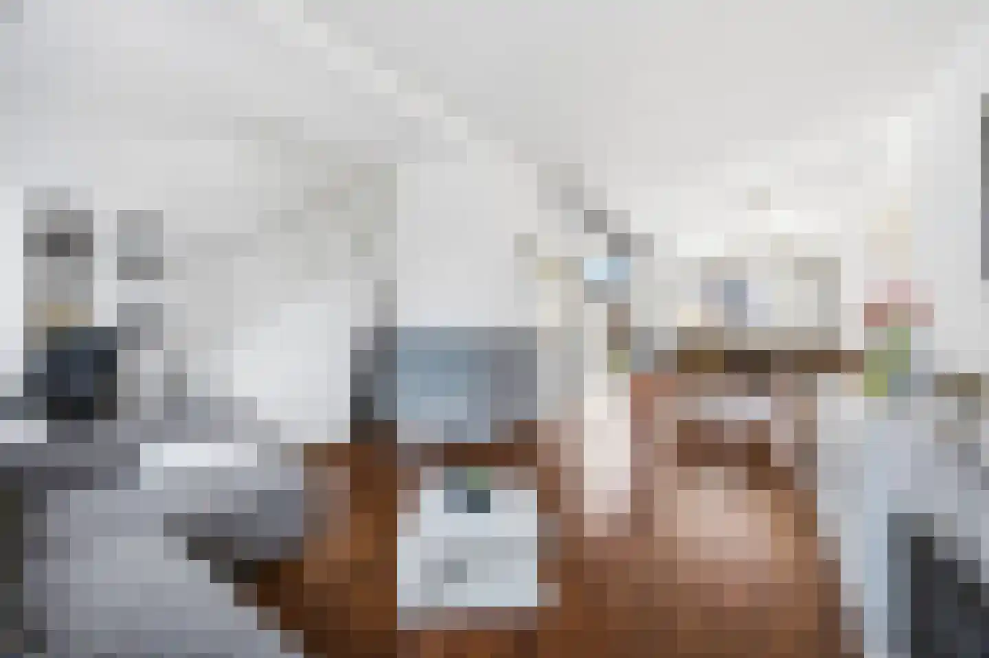 Dahliastraat 30 Rijswijk thumbnail 8