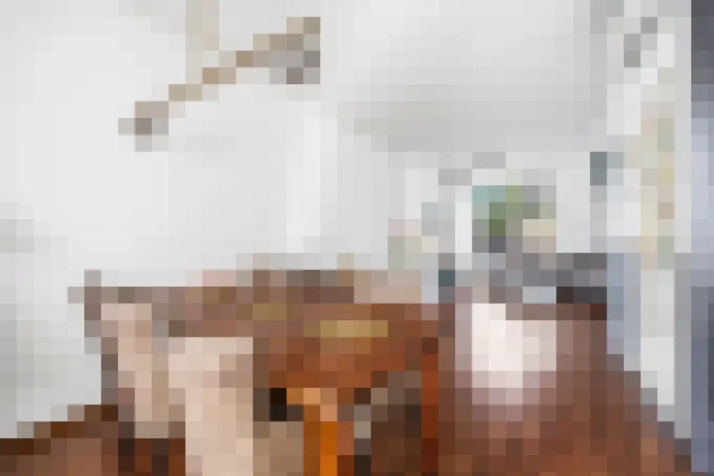 Dahliastraat 30 Rijswijk thumbnail 9
