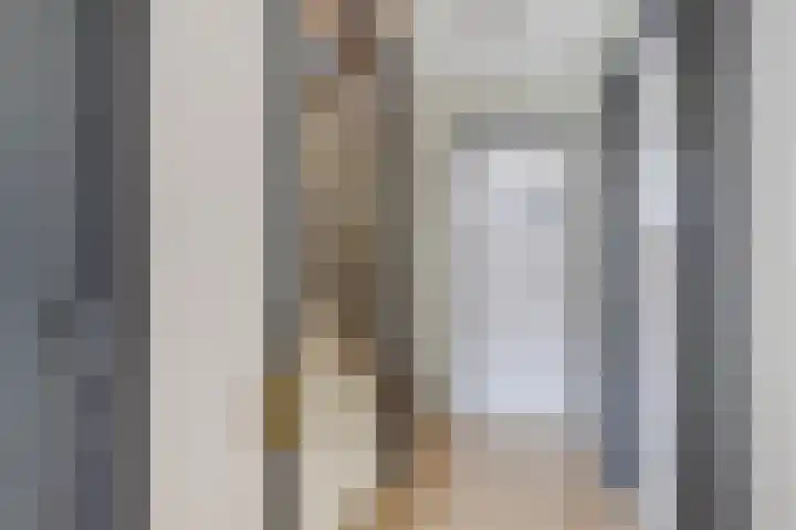 Dahliastraat 30 Zevenhuizen thumbnail 11