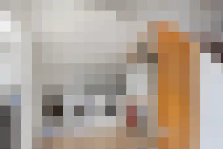 Dahliastraat 30 Zevenhuizen thumbnail 19