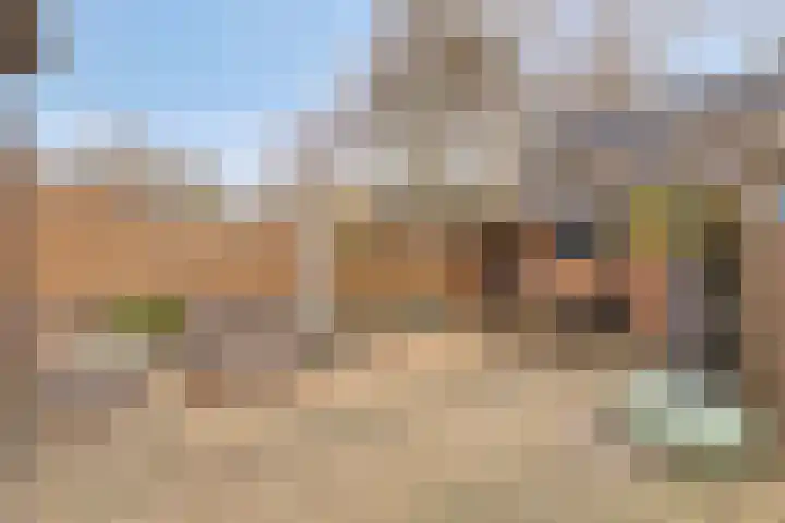 Dahliastraat 30 Zevenhuizen thumbnail 23