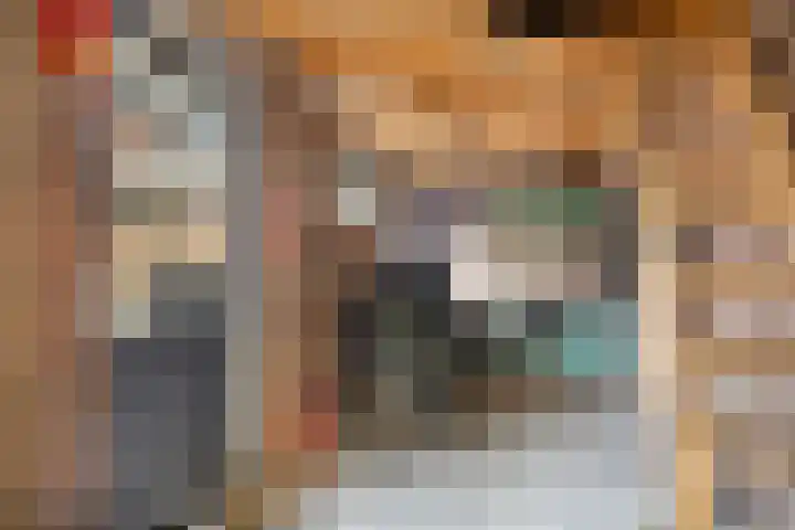 Dahliastraat 30 Zevenhuizen thumbnail 29