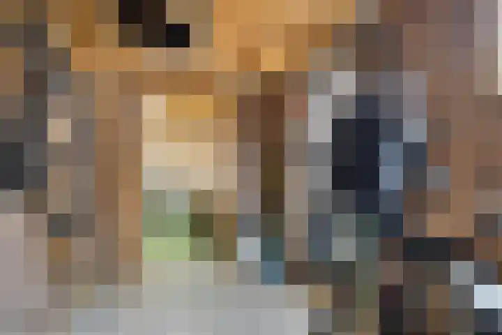 Dahliastraat 30 Zevenhuizen thumbnail 30
