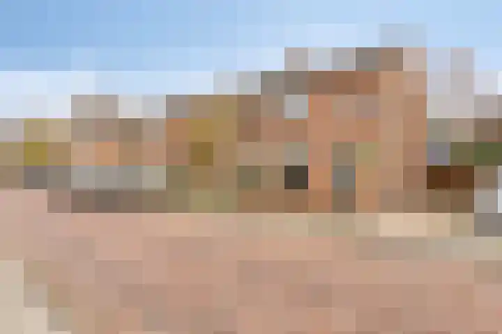 Dahliastraat 30 Zevenhuizen thumbnail 32