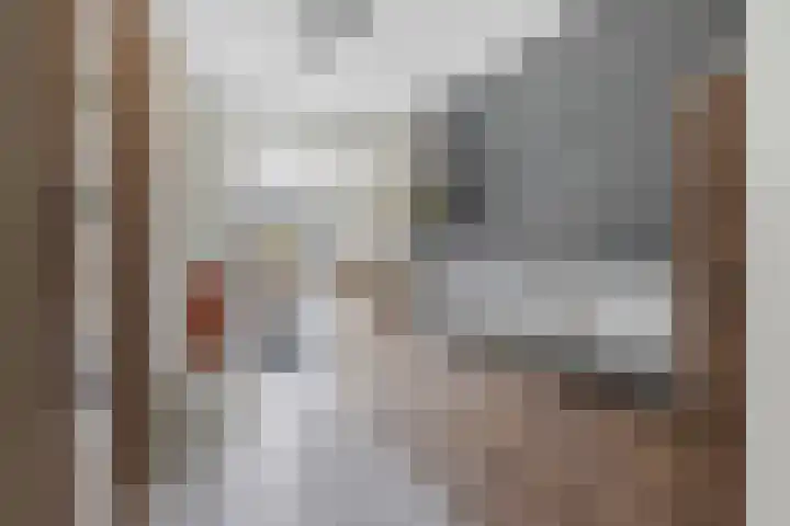 Dahliastraat 30 Zevenhuizen thumbnail 4