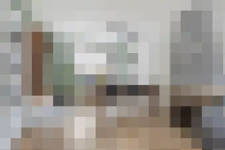 Dahliastraat 30 Zevenhuizen thumbnail 7