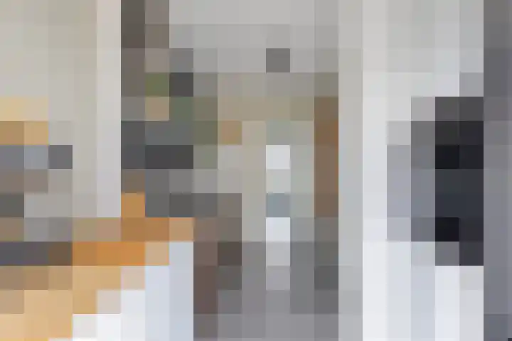 Dahliastraat 30 Zevenhuizen thumbnail 8