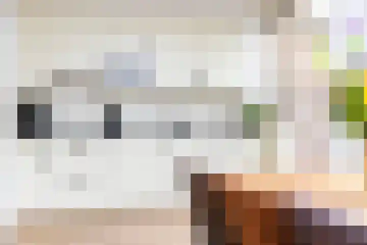 Dahliastraat 32 Eerbeek thumbnail 12
