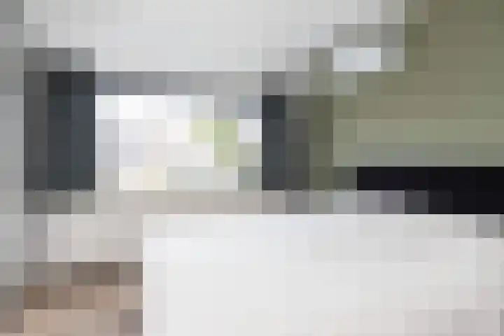 Dahliastraat 32 Eerbeek thumbnail 18