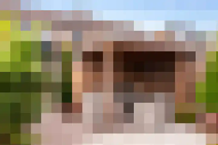 Dahliastraat 32 Eerbeek thumbnail 22