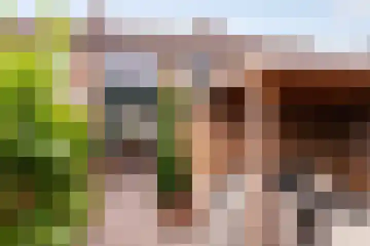 Dahliastraat 32 Eerbeek thumbnail 23
