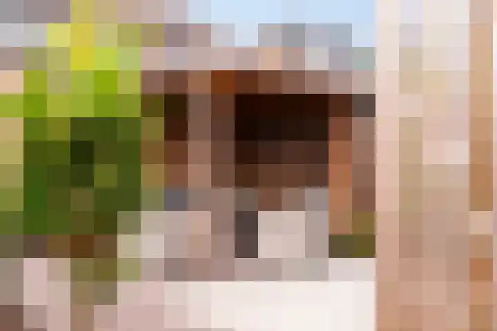 Dahliastraat 32 Eerbeek thumbnail 24