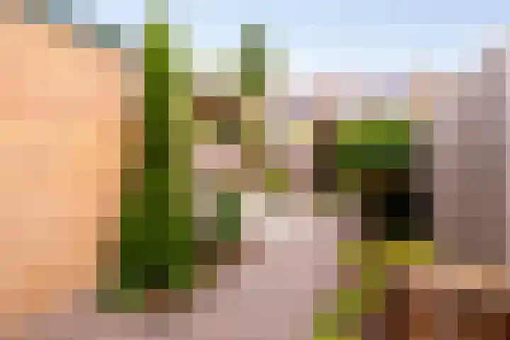Dahliastraat 32 Eerbeek thumbnail 25