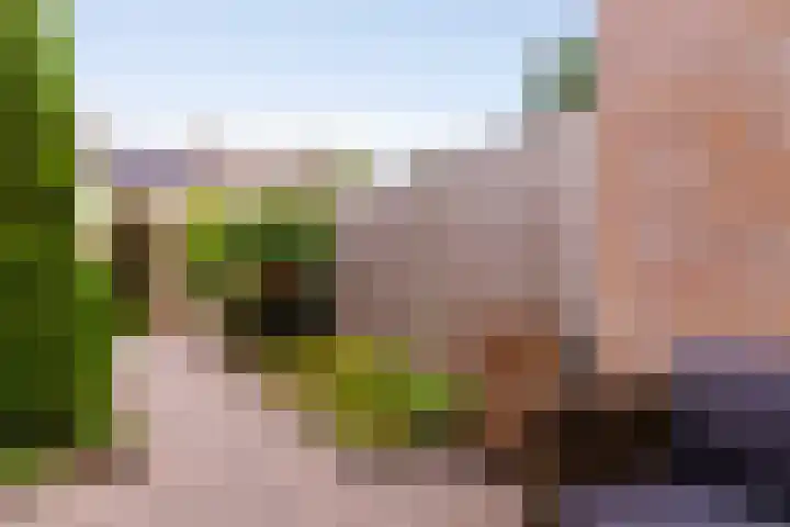 Dahliastraat 32 Eerbeek thumbnail 26