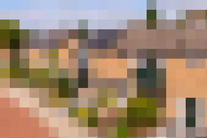 Dahliastraat 32 Eerbeek thumbnail 27