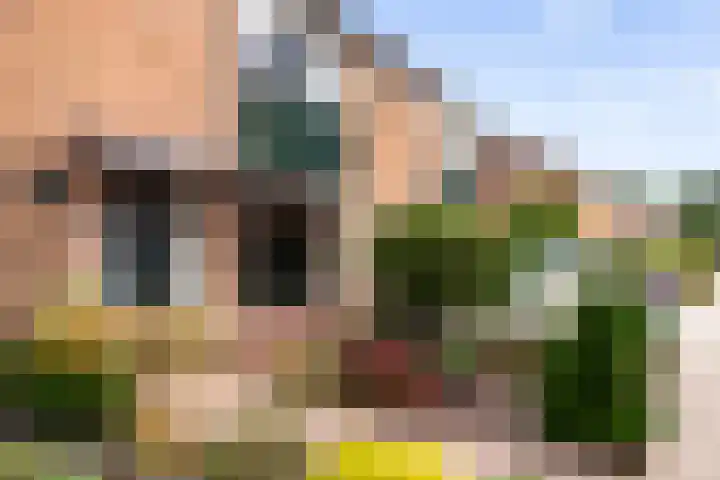 Dahliastraat 32 Eerbeek thumbnail 29