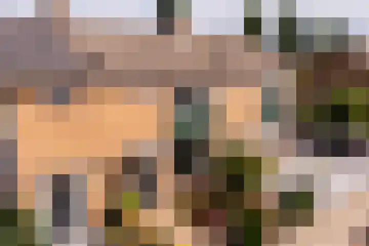 Dahliastraat 32 Eerbeek thumbnail 30