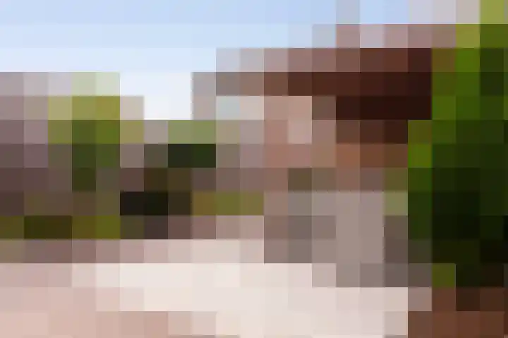 Dahliastraat 32 Eerbeek thumbnail 5