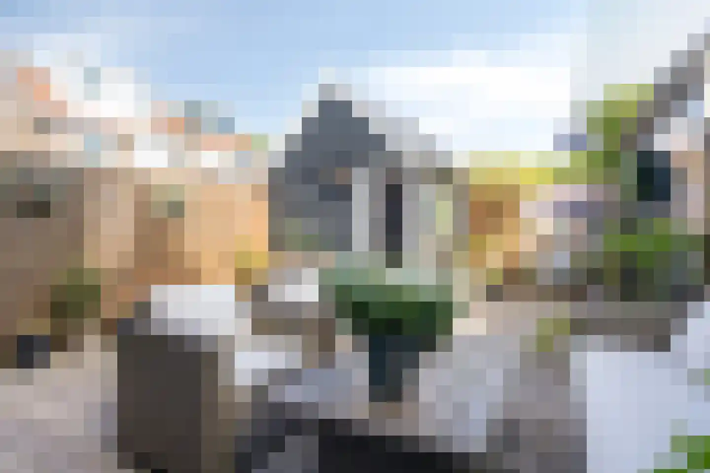 Dahliastraat 32 Koog aan de Zaan thumbnail 34