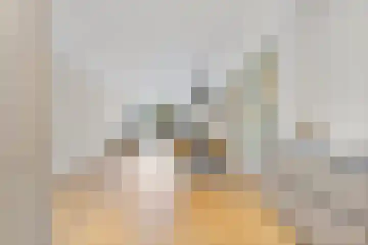 Dahliastraat 32 Rijswijk thumbnail 10