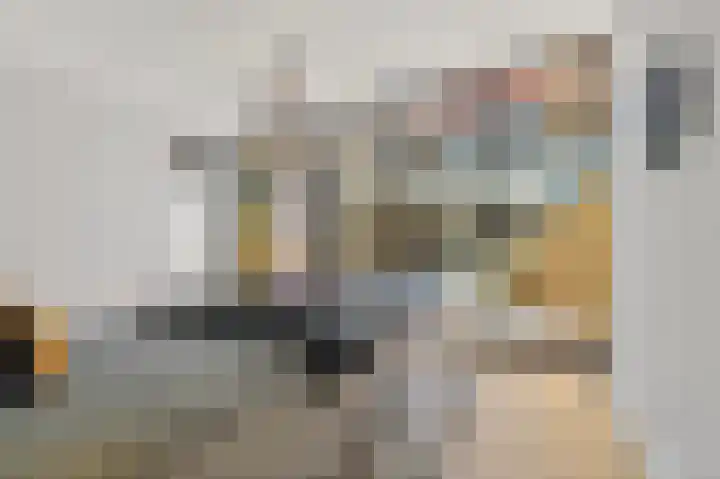 Dahliastraat 32 Rijswijk thumbnail 18