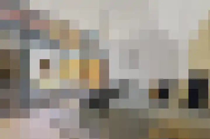Dahliastraat 32 Rijswijk thumbnail 19