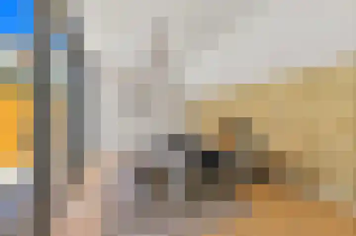 Dahliastraat 32 Rijswijk thumbnail 20