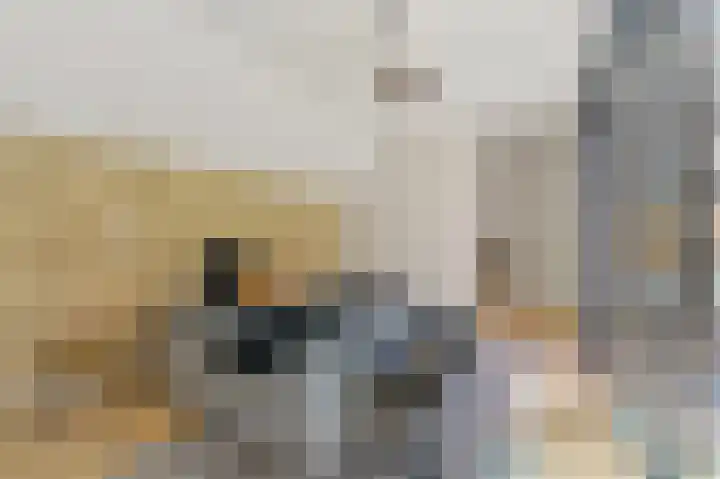 Dahliastraat 32 Rijswijk thumbnail 21