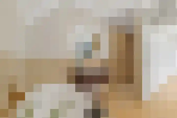 Dahliastraat 32 Rijswijk thumbnail 22