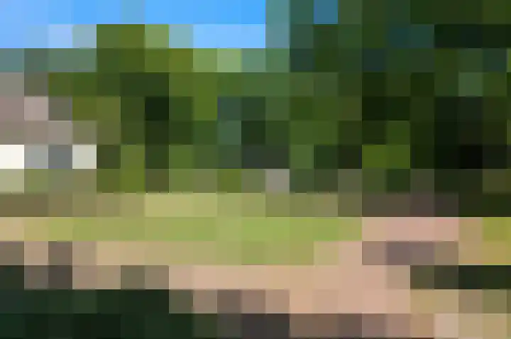 Dahliastraat 32 Rijswijk thumbnail 33