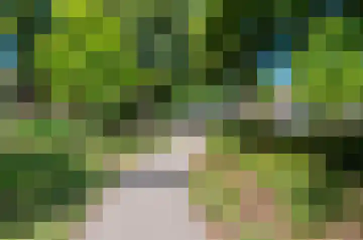 Dahliastraat 32 Rijswijk thumbnail 34