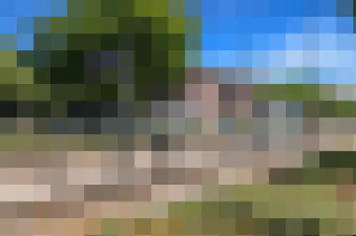 Dahliastraat 32 Rijswijk thumbnail 35